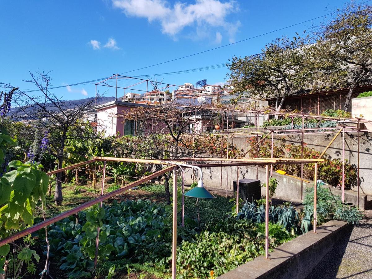 Ferienwohnung Quinta Do Bom Sucesso Funchal  Exterior foto